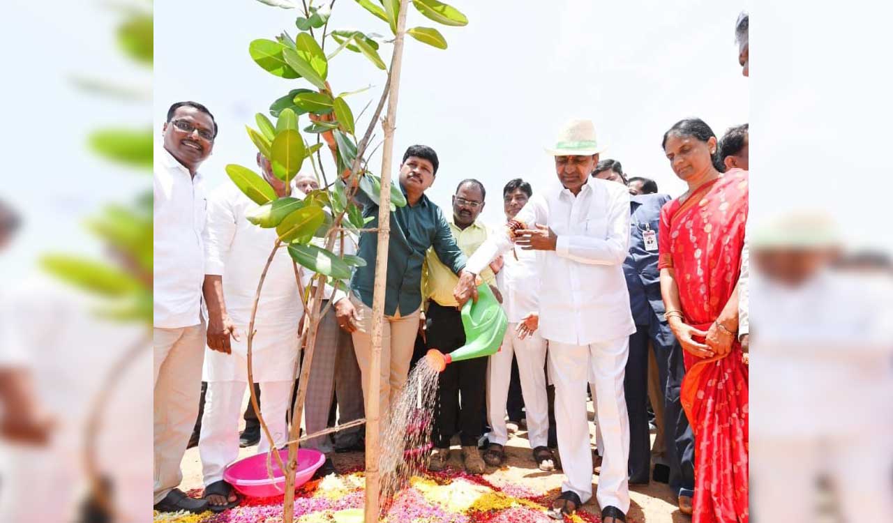 CM takes part in Green India Challenge to mark World Environment Day
