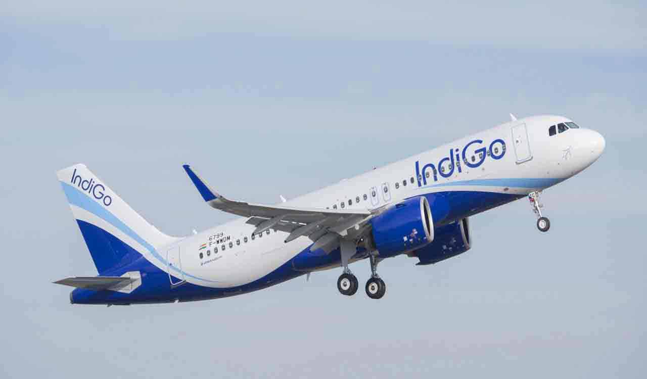 IndiGo places firm order for 500 planes with Airbus