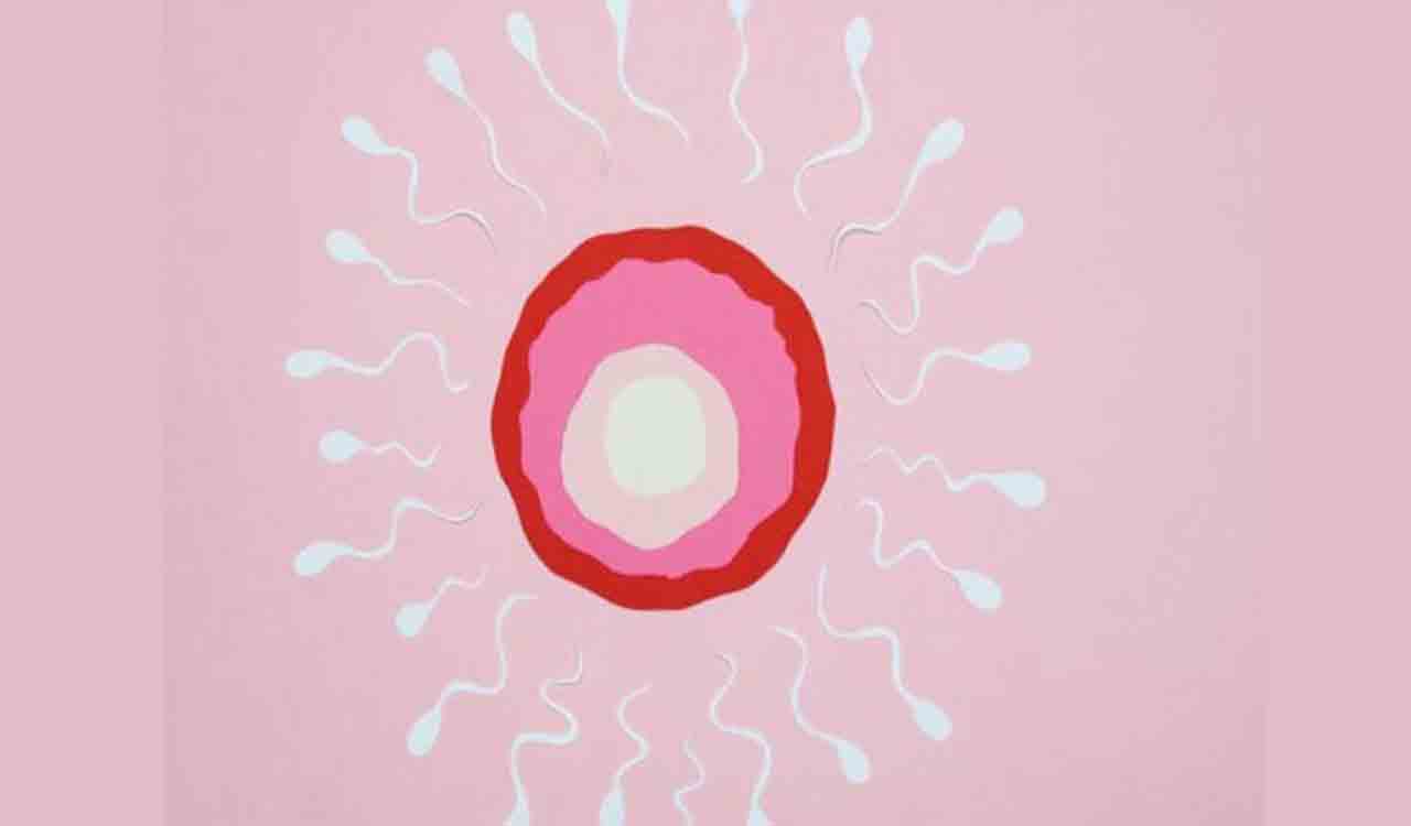 Japan’s fertility rate hit record low, drops for 7th straight year