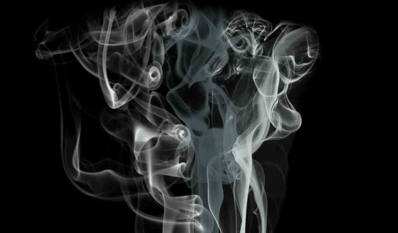 Dangerous practice of artificial fruit ripening found in Nalgonda