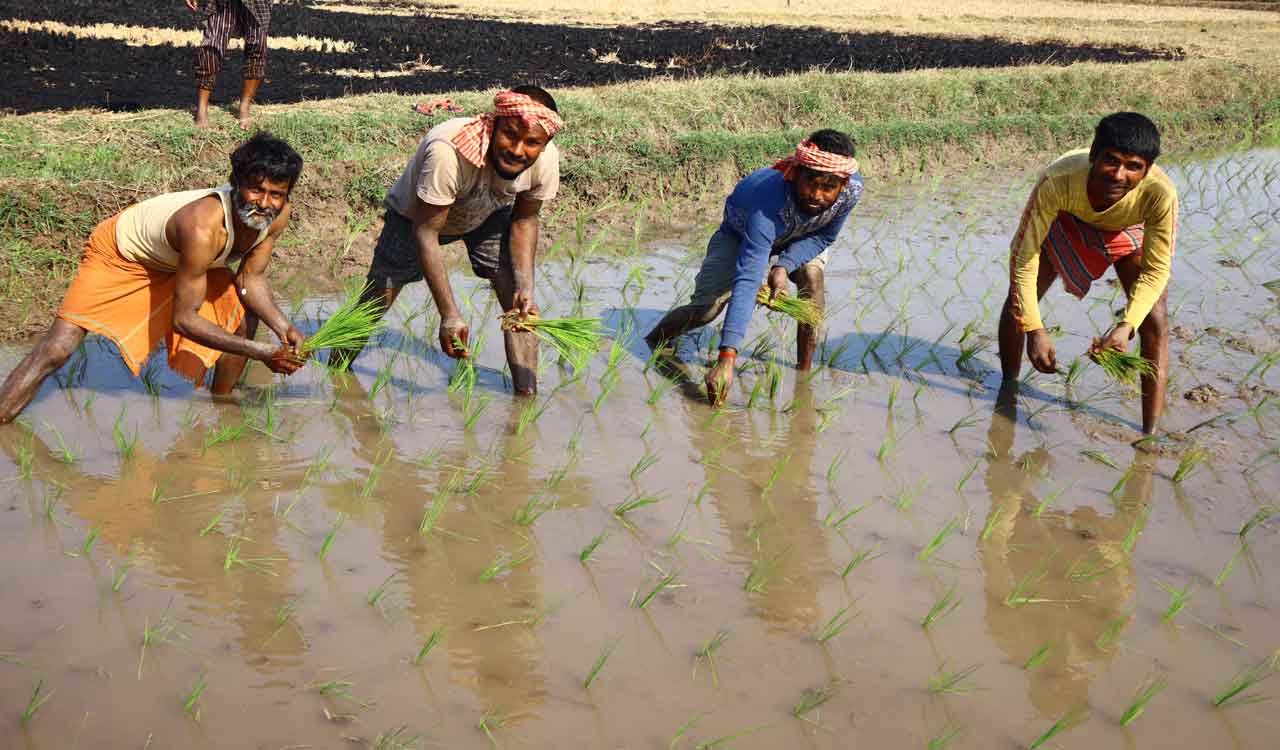 Low wages plague Gujarat model: RBI data highlights dismal conditions for workers