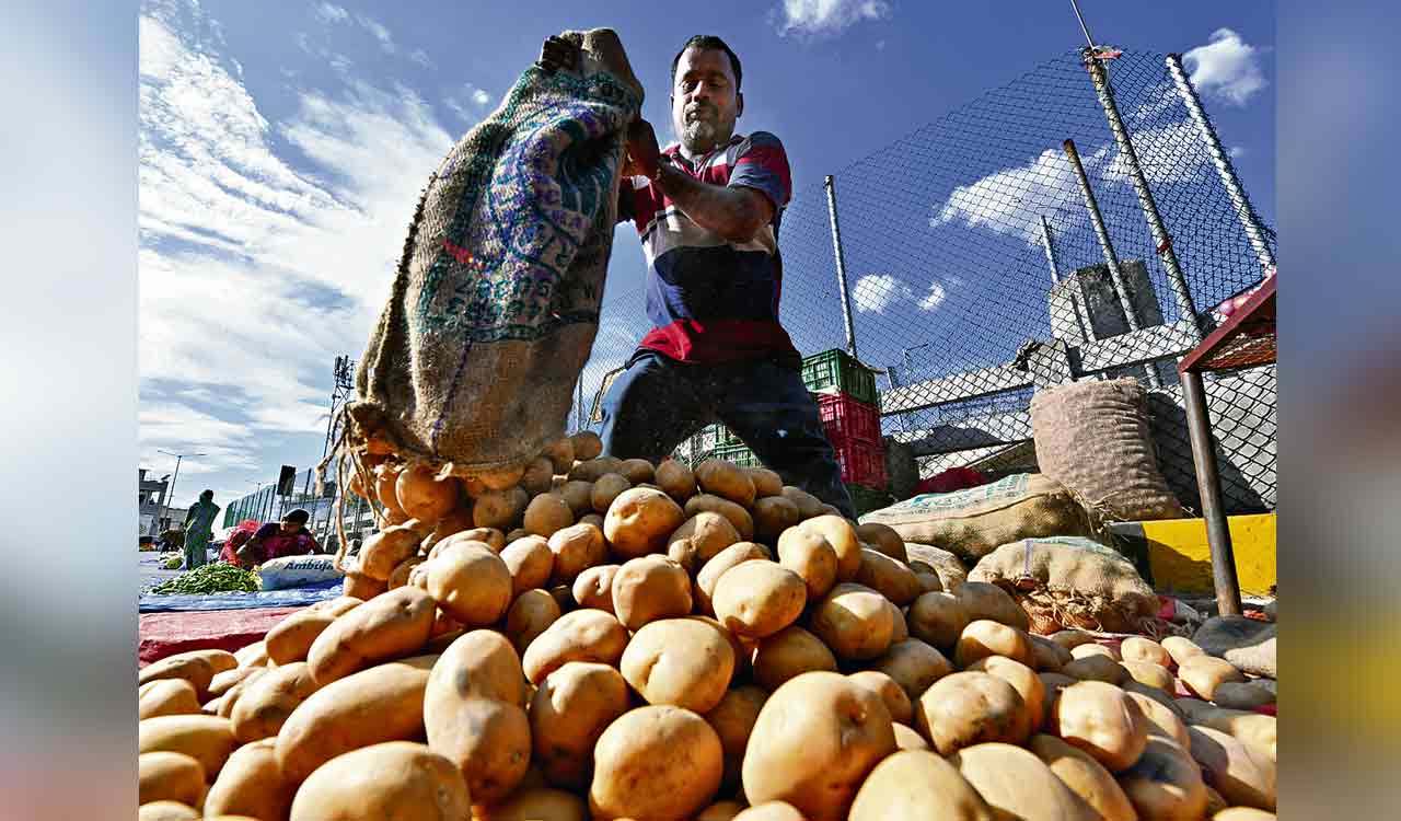 Telangana Govt plans to increase production of potato