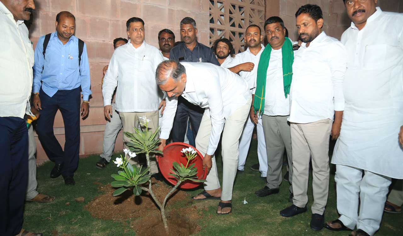 Harish Rao participates in Green India Challenge on his birthday