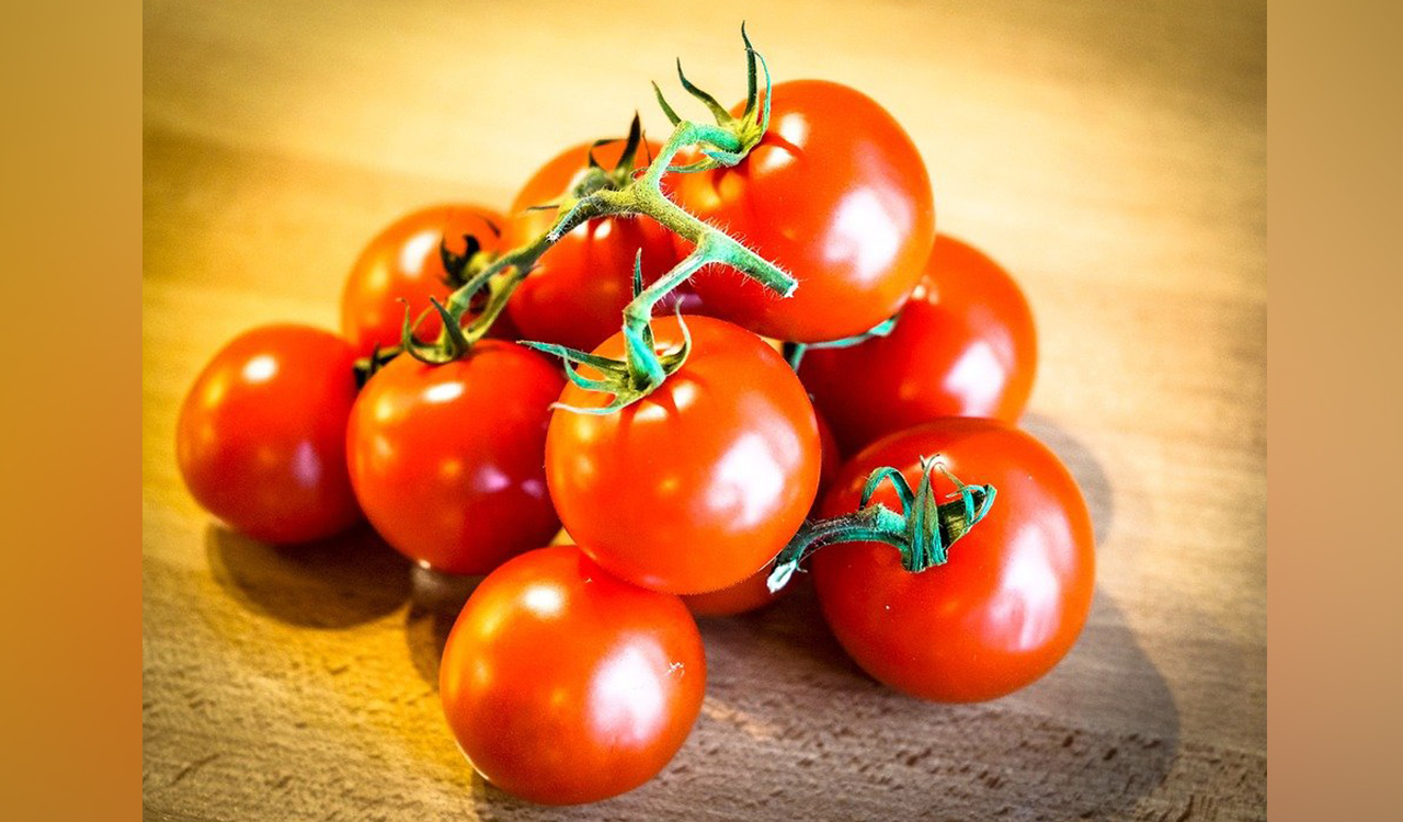 Rising Tomato prices: Congress blames PM Modi’s ‘wrong policies’