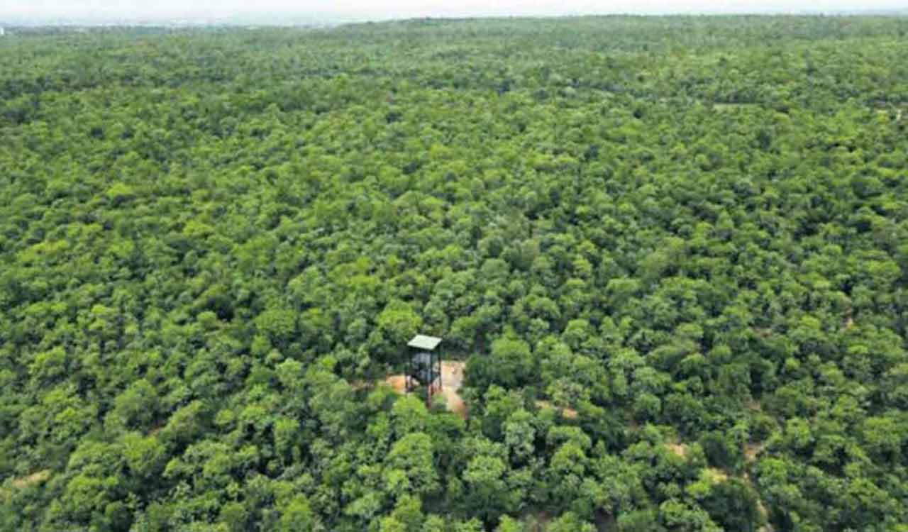 Telangana number one in increasing forest cover, says CSE report