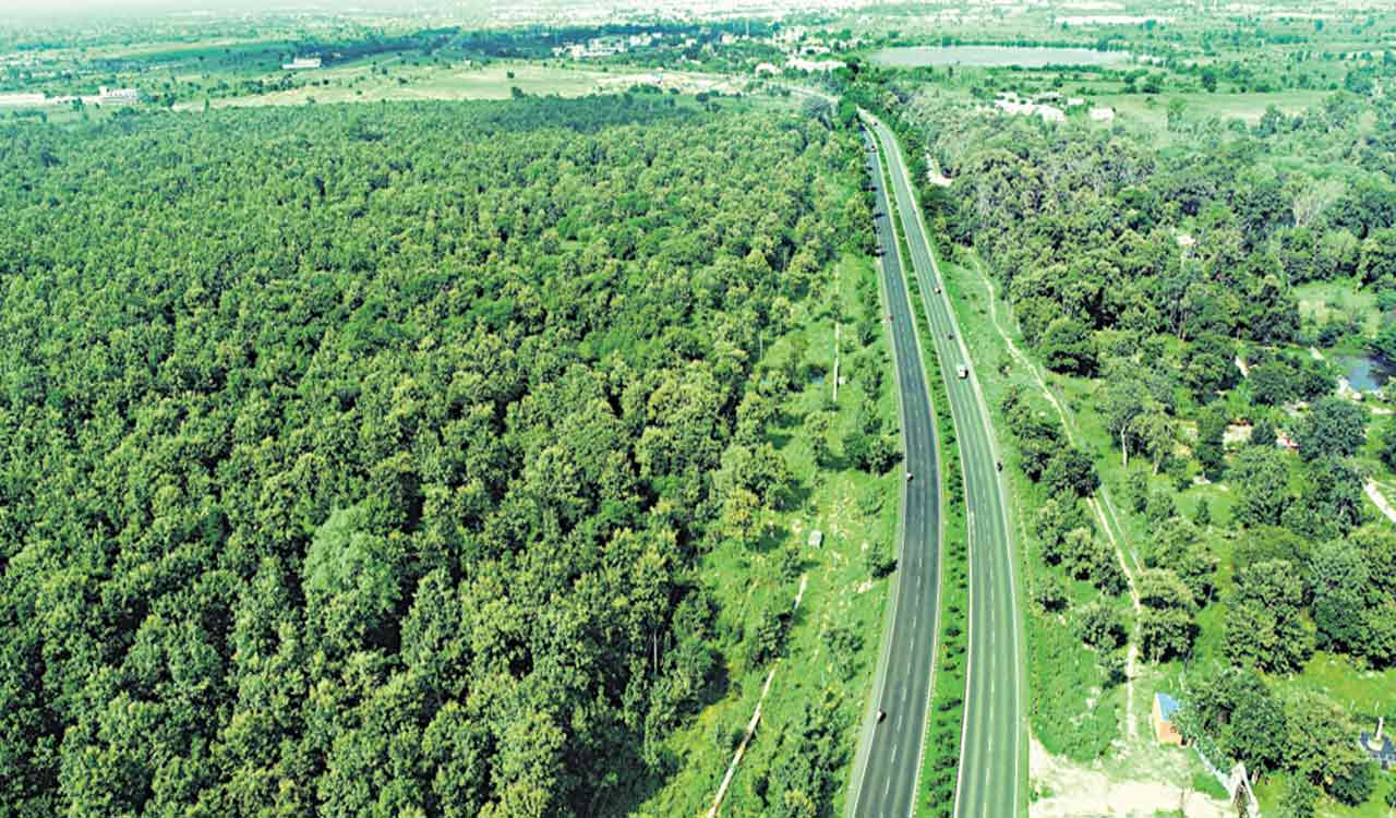 Telangana celebrates Harithotsavam; A peek into its journey from arid brown to lush green