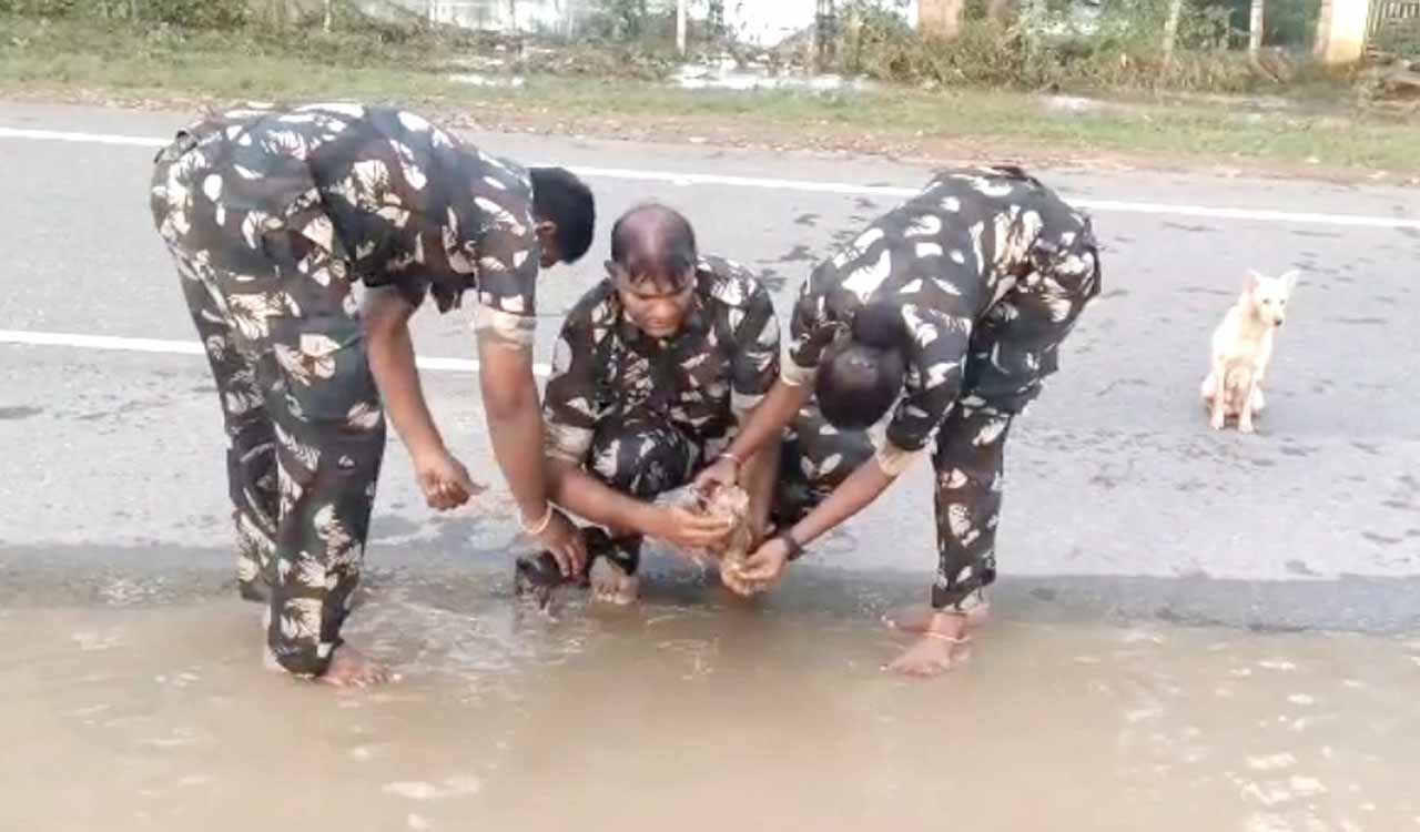 Watch: Andhra Police rescue puppies after dog seeks help