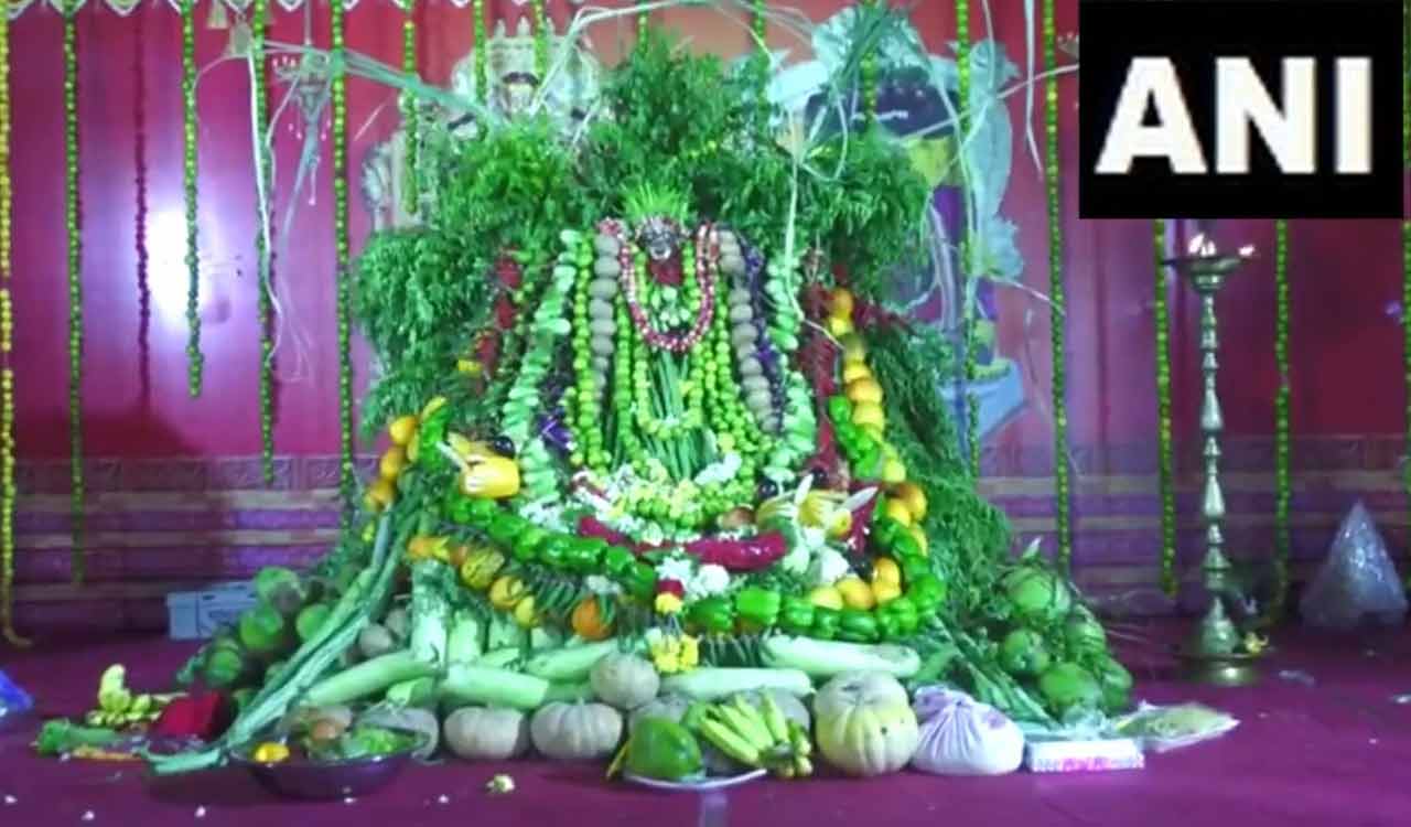 Andhra Pradesh: Three-day Shakambari Festival begins in Vijayawada