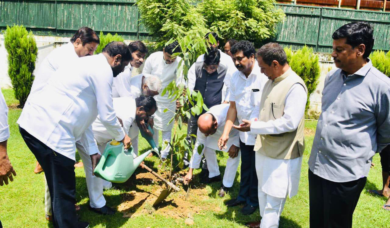 BRS MPs celebrate KTR’s birthday by planting saplings in Delhi