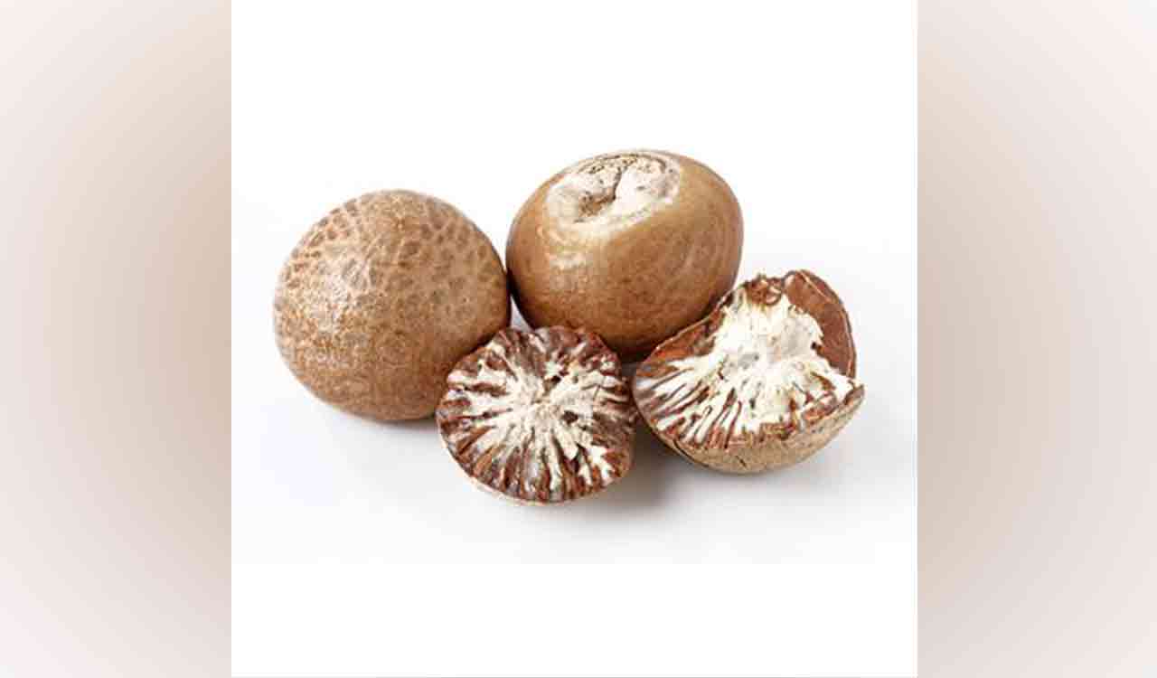 Assam Police seize Burmese betel nuts, arrest one in connection