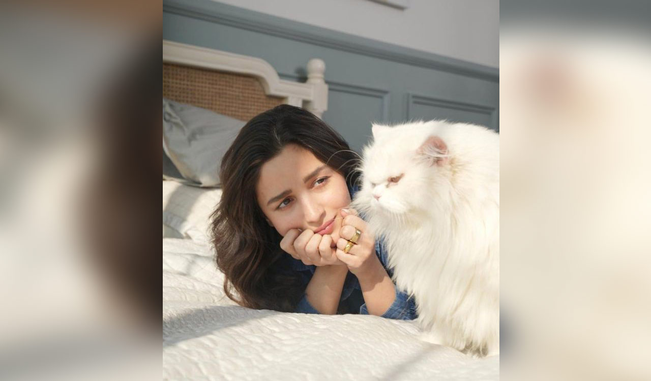 Catwomen: Alia isn’t the only Bollywood celeb in love with furry felines