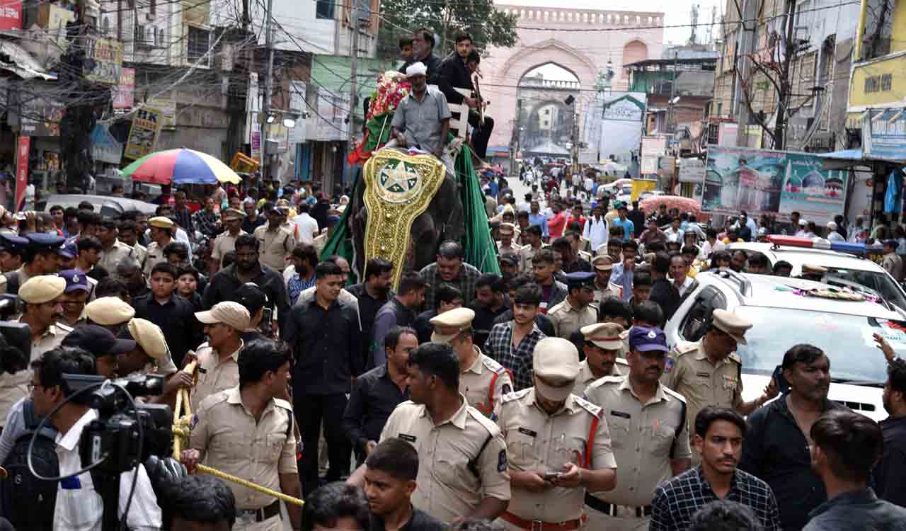 Elephant trial for Bibi-ka-Alam procession ahead of Muharram in Hyderabad