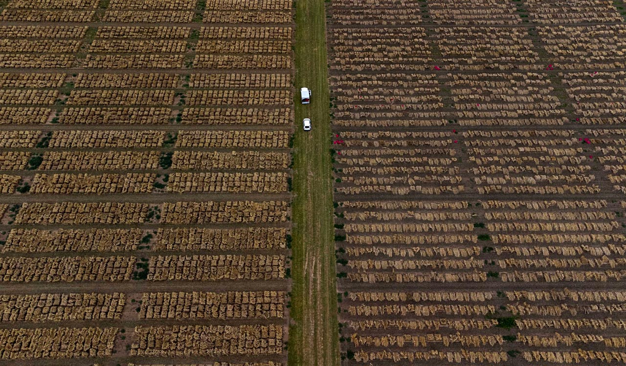 European Union agriculture officials work on ways to move Ukrainian grain to the world