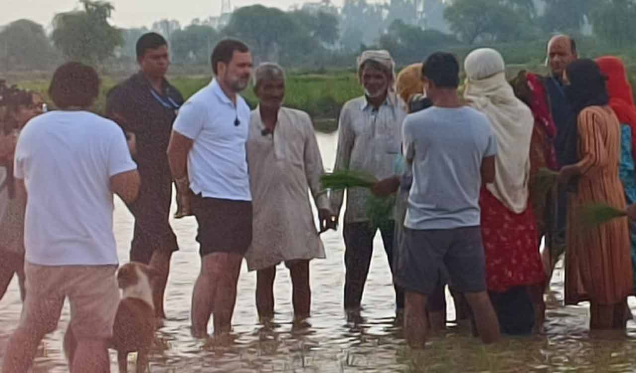 Haryana: Rahul Gandhi Interacts With Farmers In Sonepat-Telangana Today