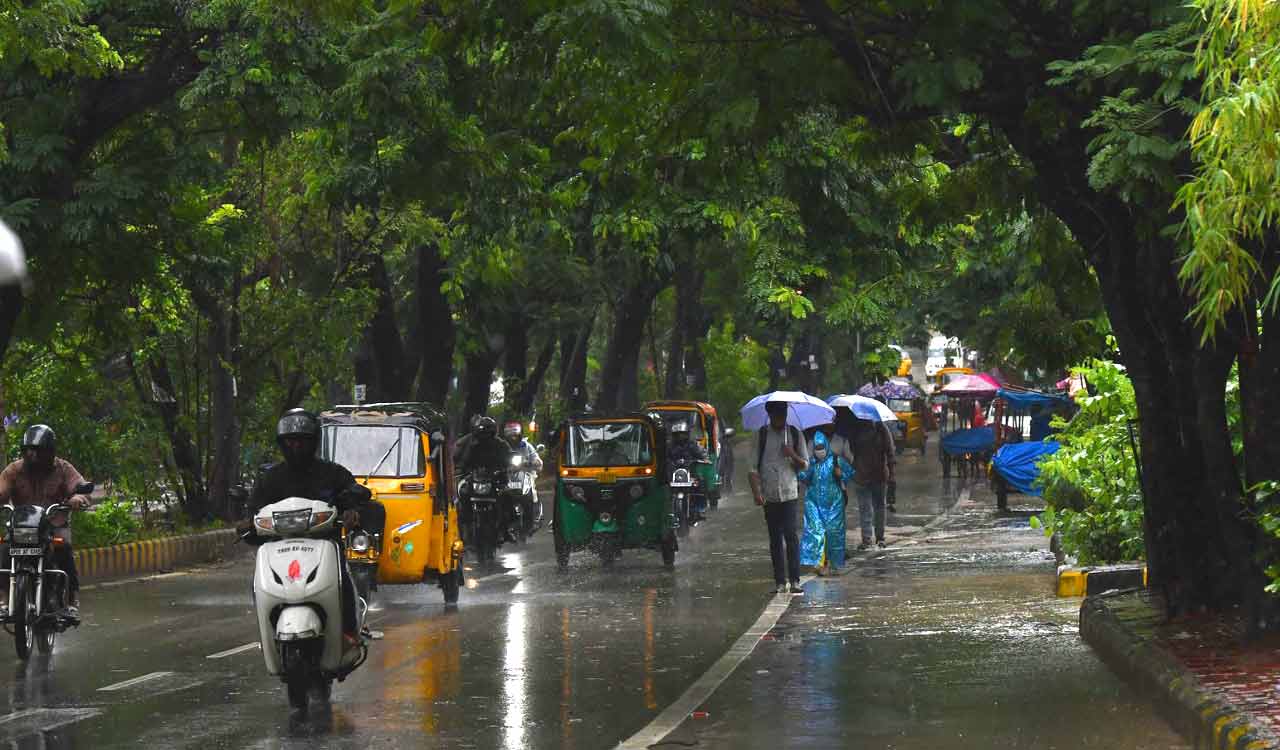Health Department on high alert amidst incessant rains in Telangana: Harish Rao