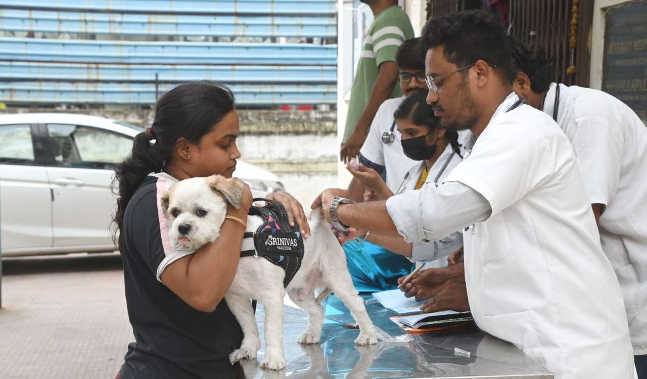 Hyderabad: Four-legged friends get the shots