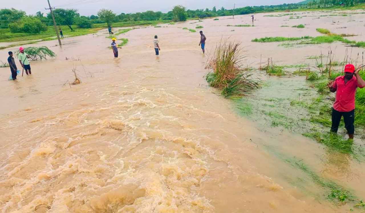 Inflows into Singur swell as rains continue in Sangareddy