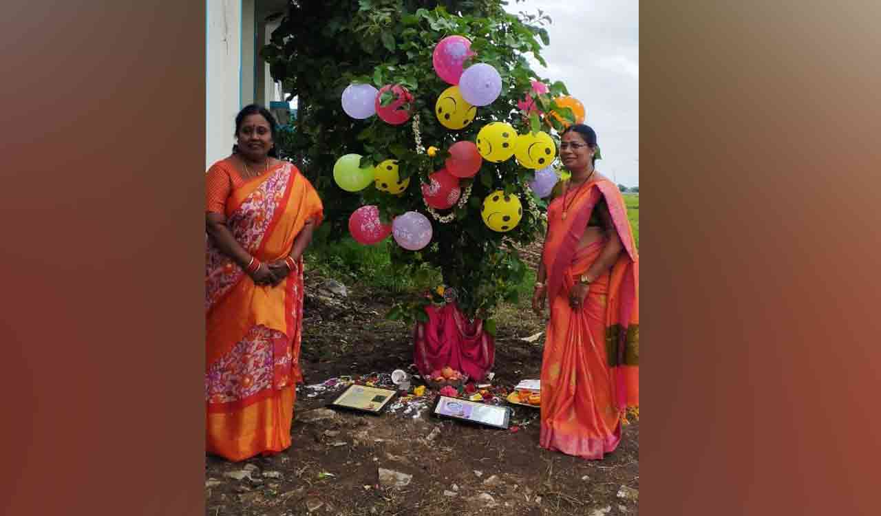 Grieving widow finds solace and last memory of husband in tree