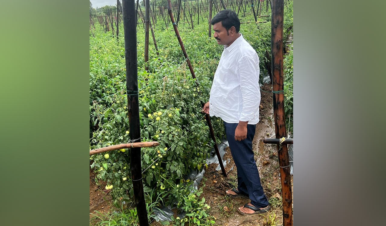 Medak farmer becomes crorepati by selling Tomatoes, earns Rs 1.80 cr