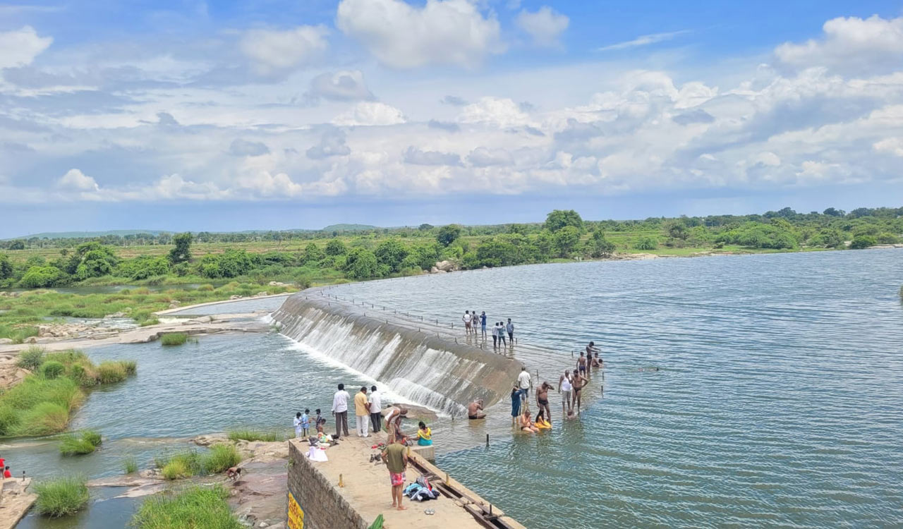 Rains bring cheer to farmers in erstwhile Medak district