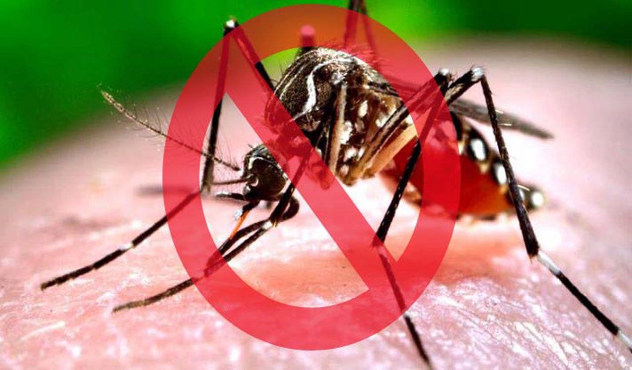 Seasonal diseases: Telangana health department urges citizens to observe dry day once a week