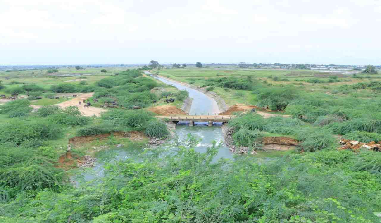 Water released to left, right canals of Musi project