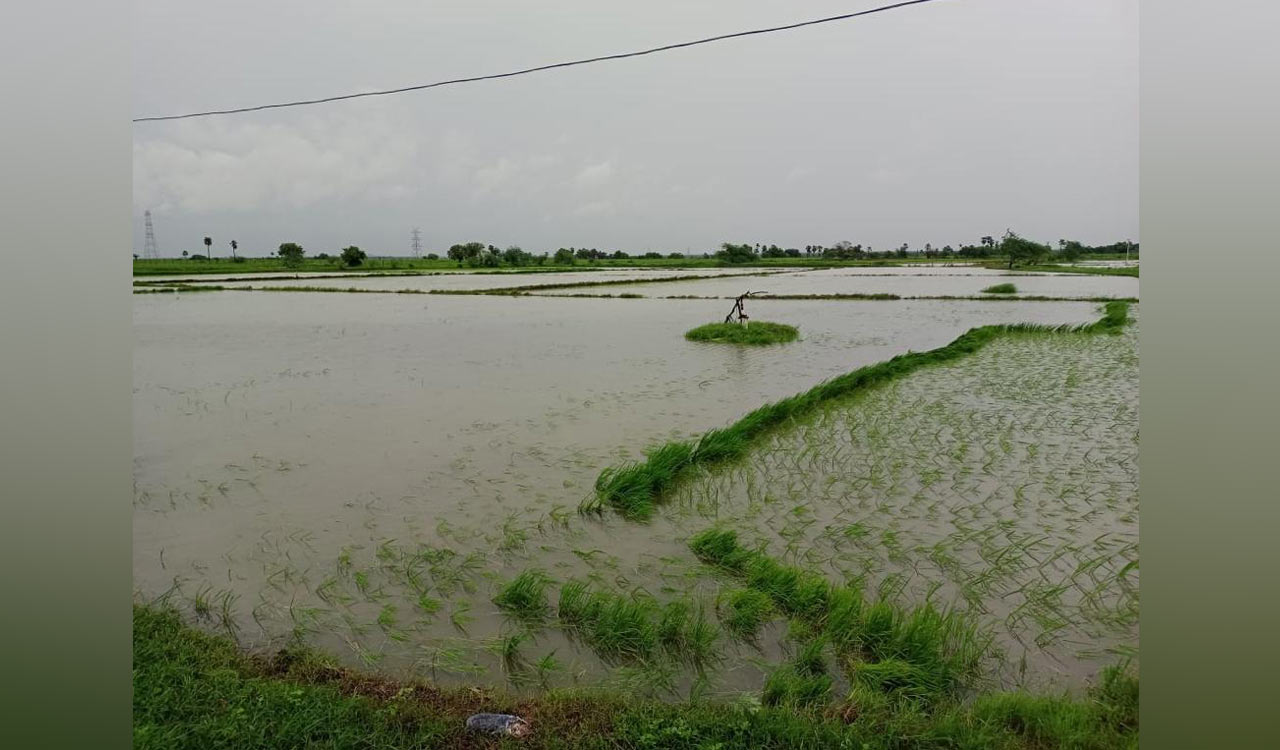 Telangana Rains: Road connectivity to several villages impacted in Nalgonda
