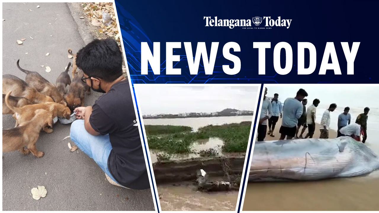 News Today: Stray Dogs Care In Hyderabad, Blue Wheel In Srikakulam, Bhadrakali Lake Breach In Warangal, And Others