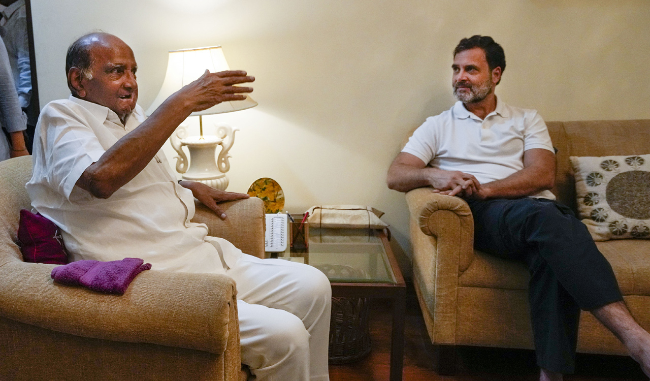 Rahul Gandhi meets Sharad Pawar