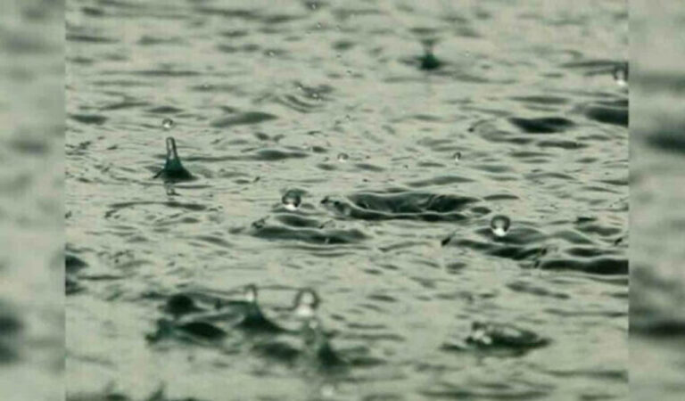 Rains