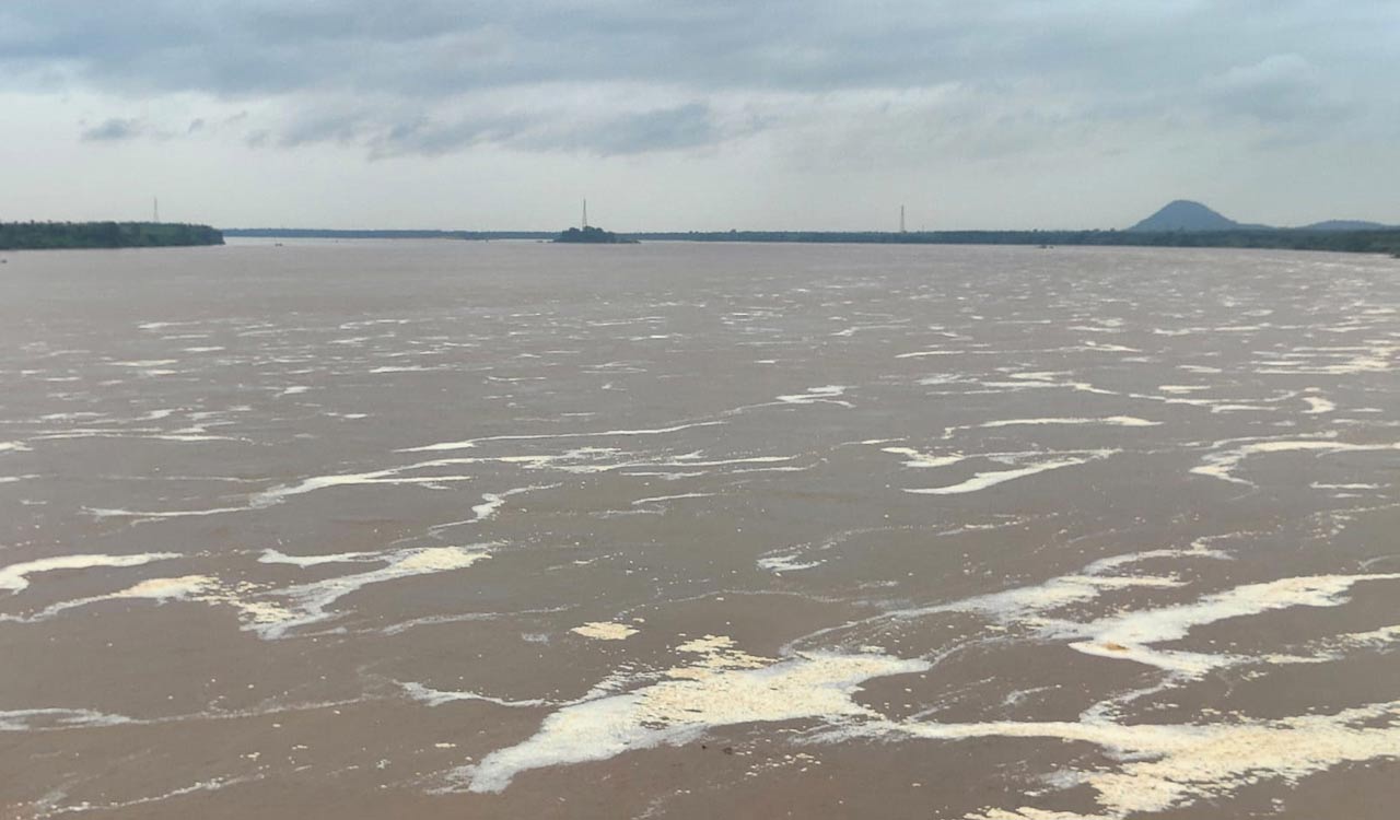 Rains: Jagtial collector alerts officials, people of Godavari river basin