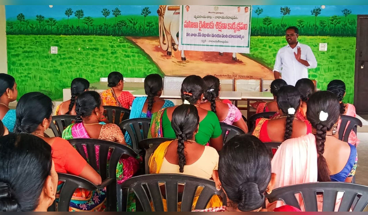 Siddipet: AEO educates women farmers on paddy cultivation