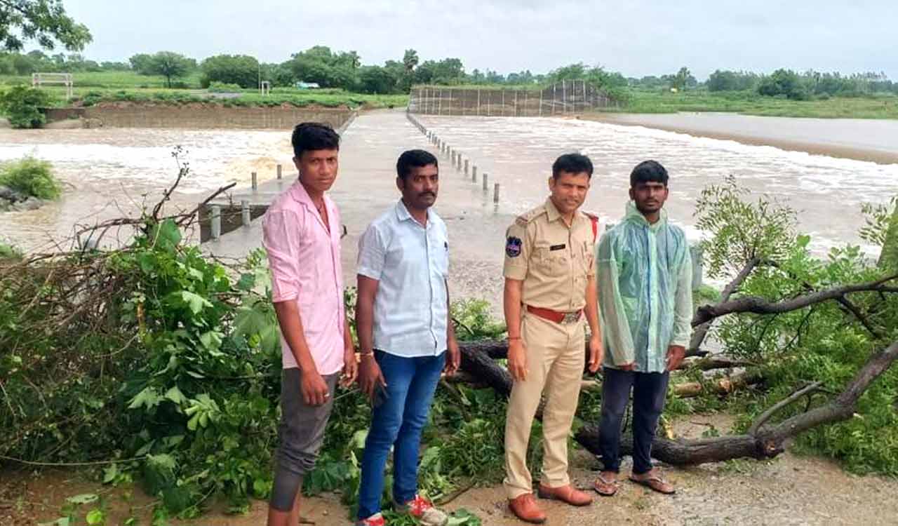 Siddipet: Traffic diverted as Moya Tummeda Vagu overflows