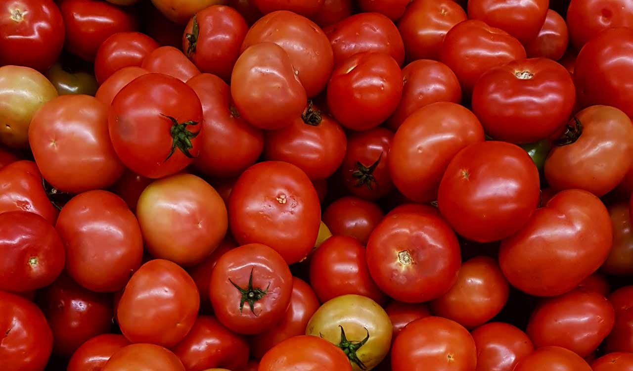 Tomato Prices Skyrocket in Uttarakhand: Rs 250/kg in Gangotri Dham, Rs 180-200/kg in Uttarkashi