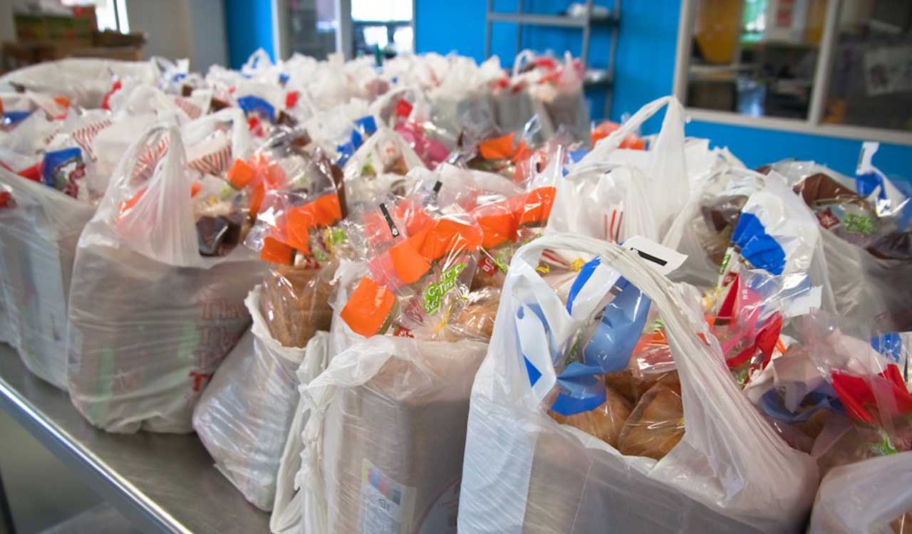 Nagaland govt bans single use plastic