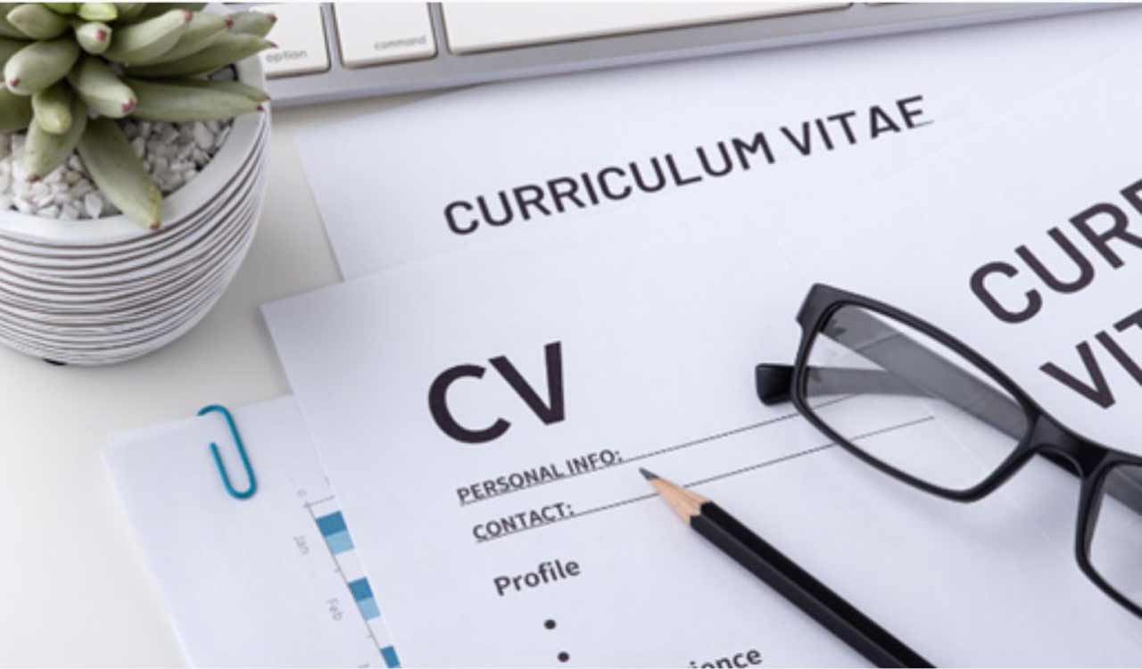 Decoding professional resume writing services: Are they worth the investment?