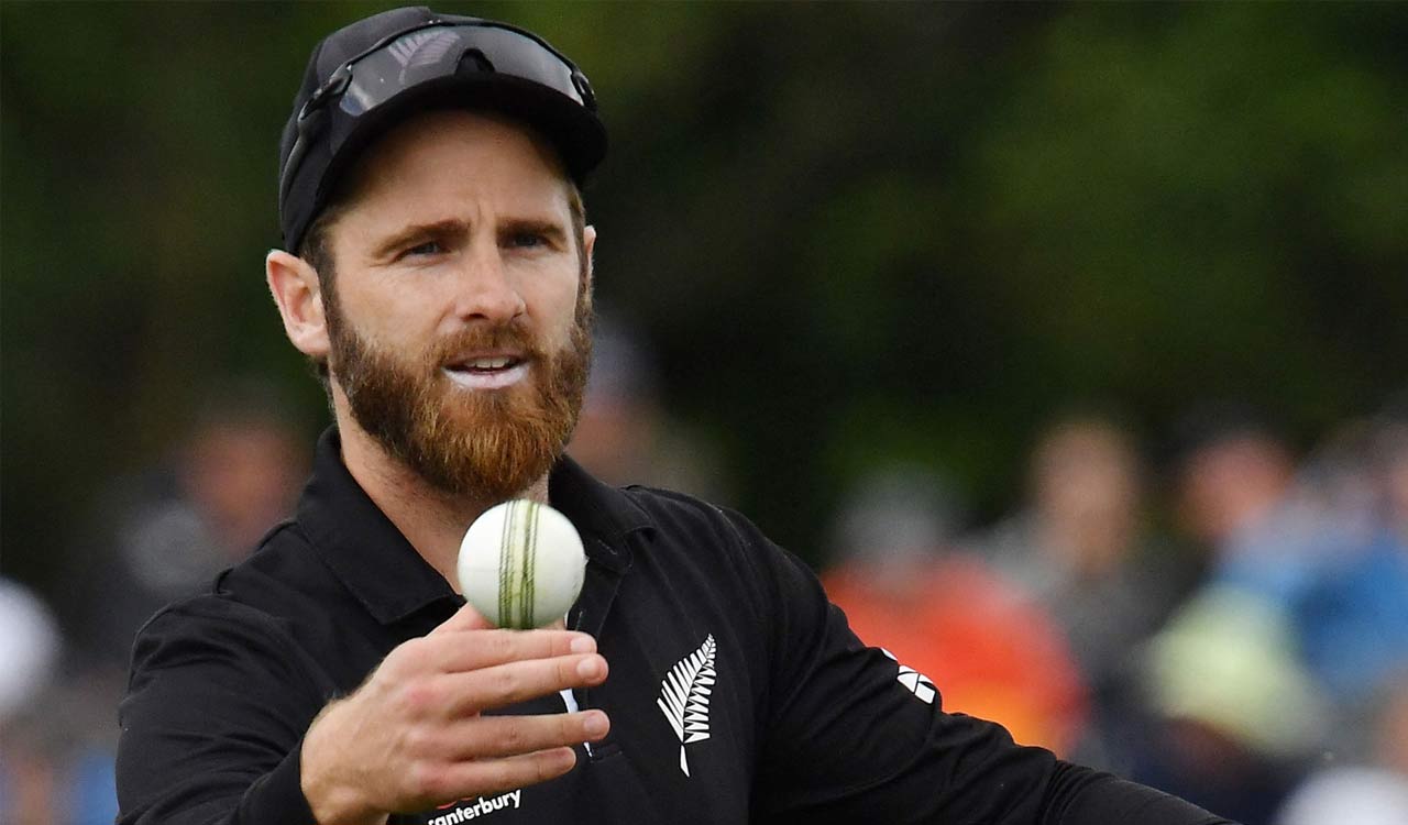 Kane Williamson acknowledges world cup participation as a challenging goal