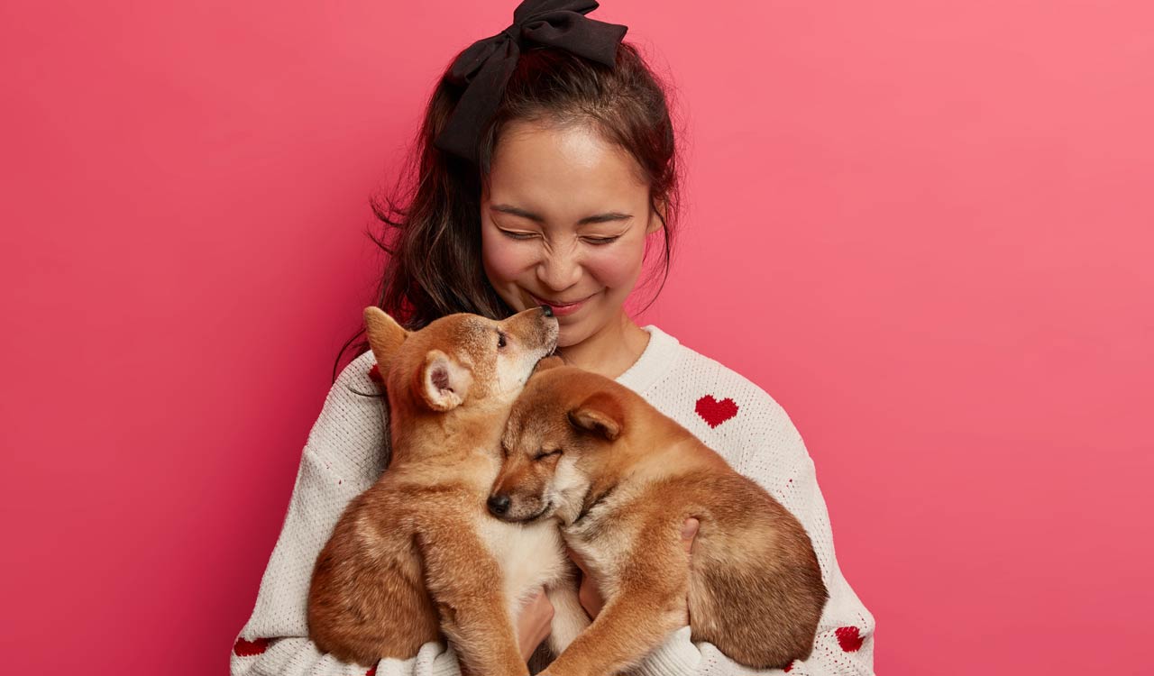 Punjab: Pet shops, dog breeders to be registered with State Animal Welfare Board