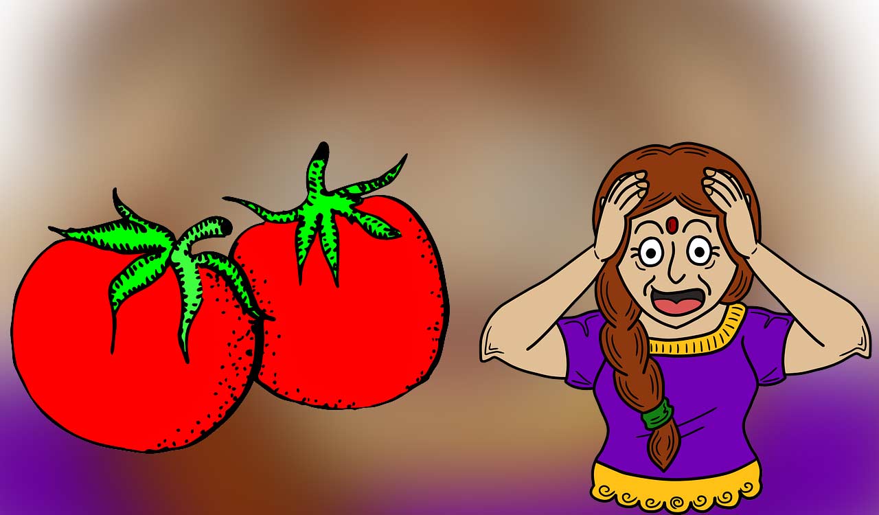 Vehicle transporting 2,000 kg of tomatoes to market robbed in Bengaluru