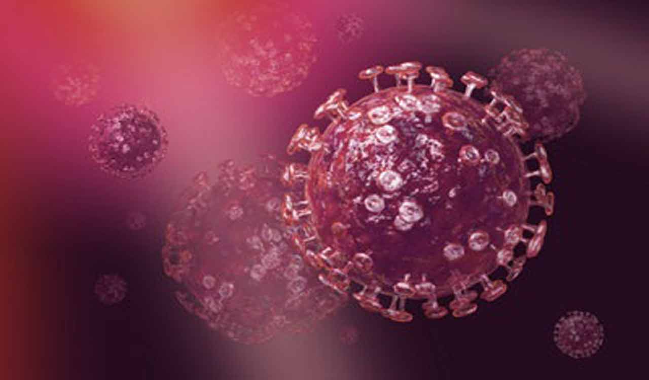 WHO confirms MERS in a United Arab Emirates man, expects more cases