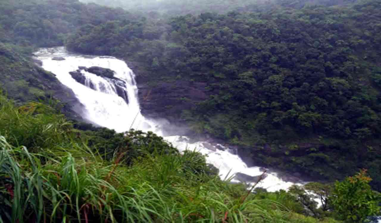 Ban imposed on entry to Dudhsagar waterfall in Goa