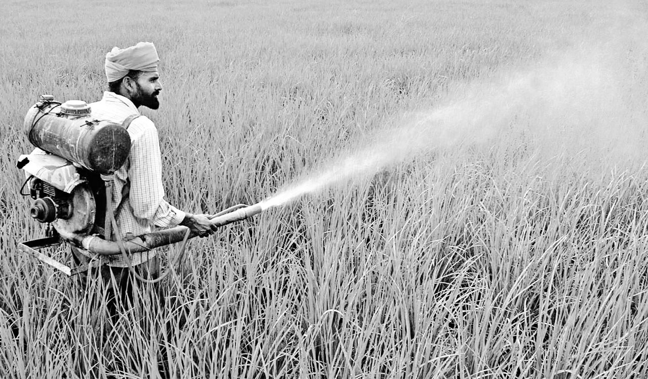 Opinion: A soil living on steroids