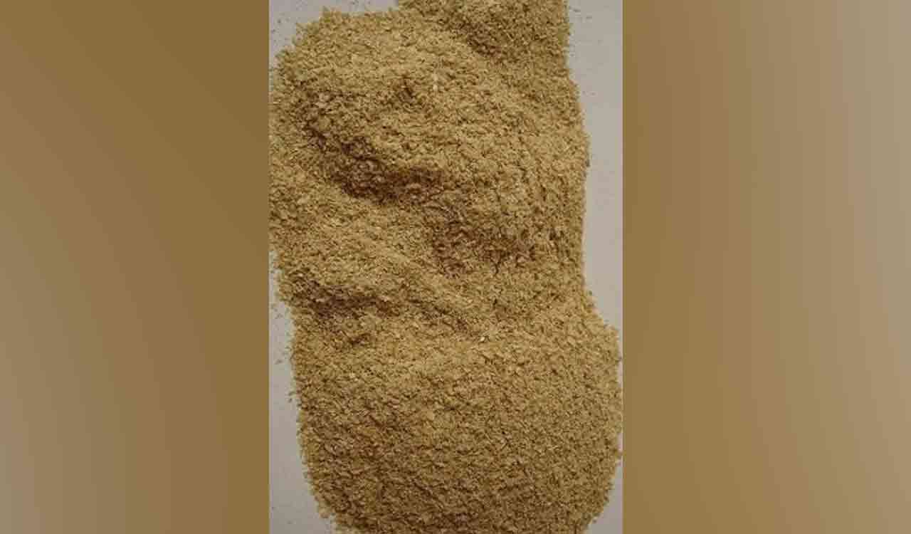 Government bans de-oiled Rice bran export until November 30