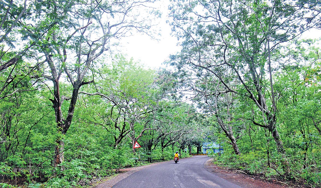 Experience monsoon in Telangana with long drives