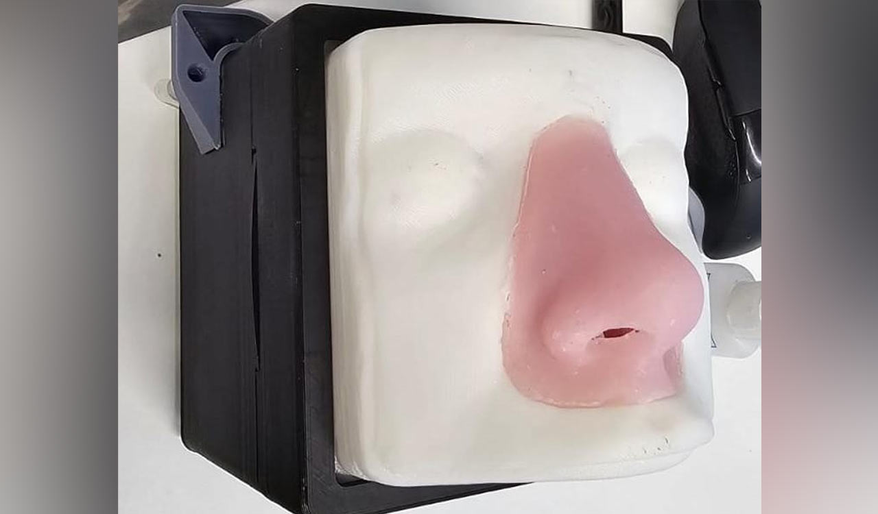 Hyderabad docs collaborate with T-Works to develop indigenous 3D endoscopic skull-base models