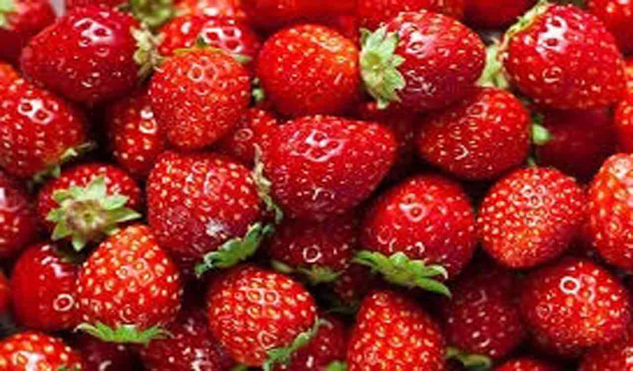 Daily strawberry consumption linked to improved cognitive function, Lower BP in Elderly