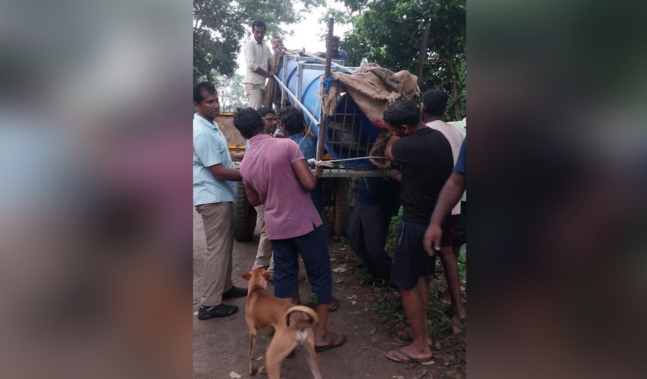 Mugger crocodile rescued and relocated in AP by AWCS