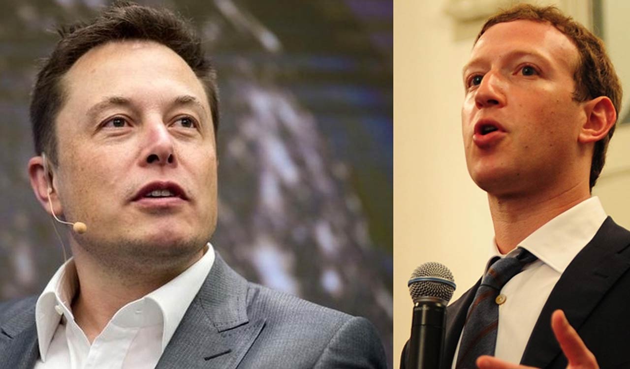 Amid cage fight remarks, Musk labels Zuckerberg as ‘chicken’