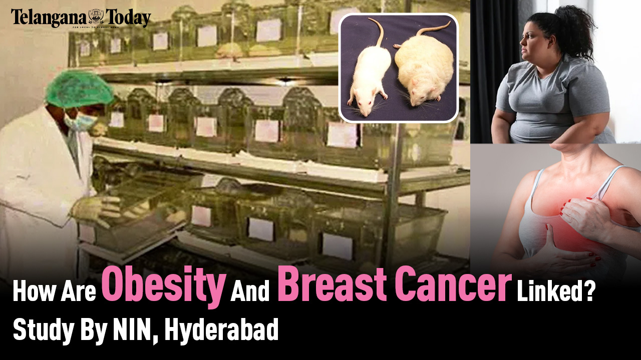 Obesity Develops Breast Cancer | Study By National Institute of Nutrition, Hyderabad | Telangana Today