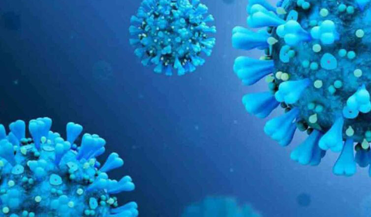 Choice of arm for second Covid jab could influence immune response, new research says